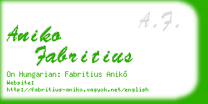 aniko fabritius business card